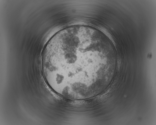 X0000088871290200706291532