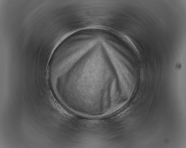 X0000088871292200706291532
