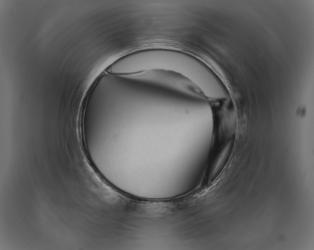 X0000088871293200706291532