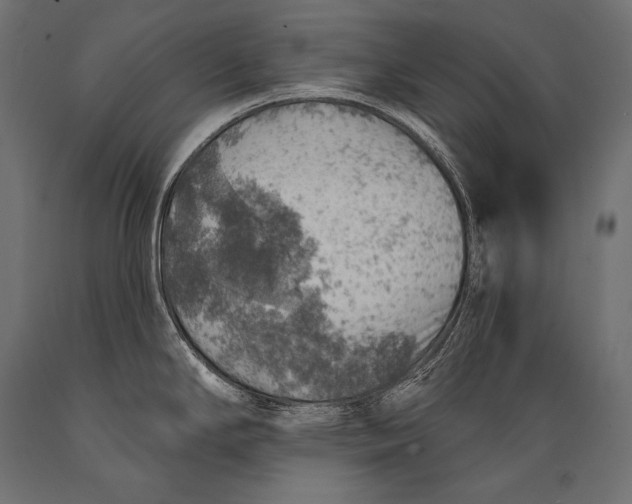 X0000088871294200706291532