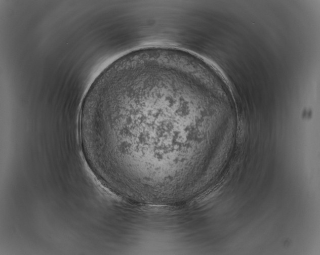 X0000088871295200706291532