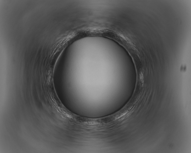X0000088871300200706291531