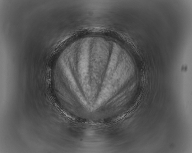 X0000088871301200706291531