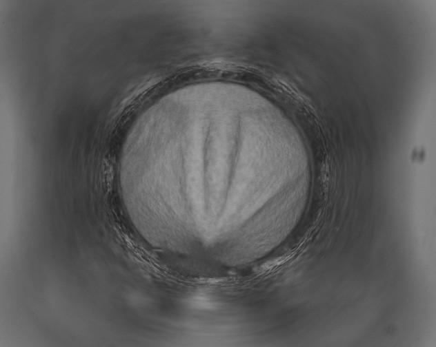 X0000088871302200706291531
