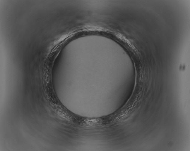 X0000088871303200706291531