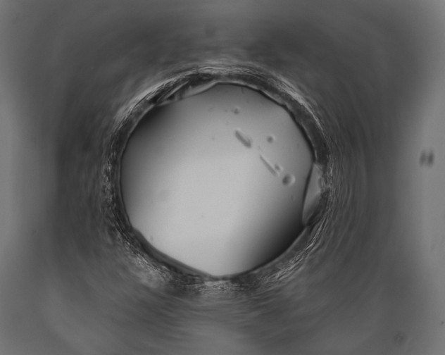 X0000088871304200706291531
