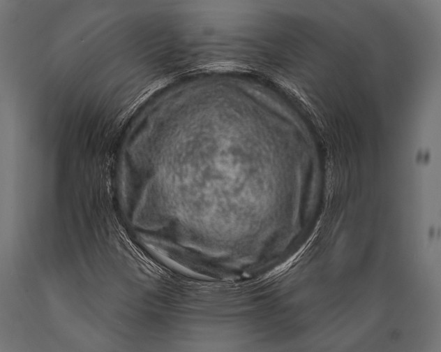 X0000088871305200706291531