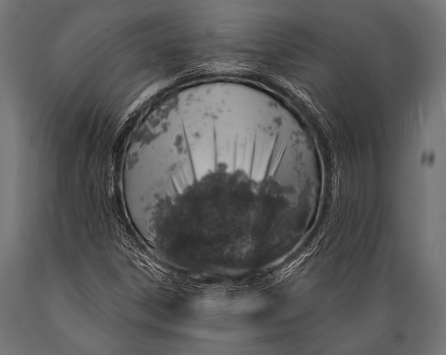 X0000088871306200706291531