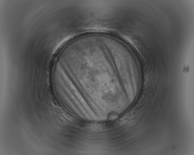 X0000088871307200706291531