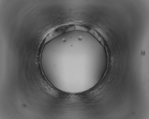 X0000088871308200706291531