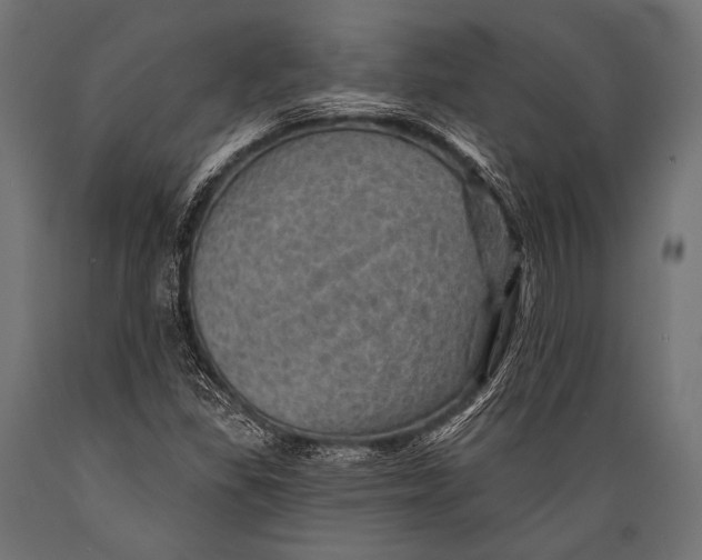 X0000088871309200706291531