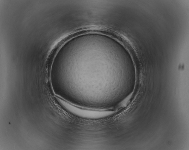 X0000088871310200706291531