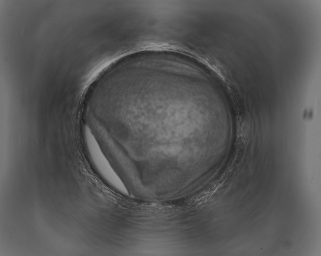 X0000088871311200706291531