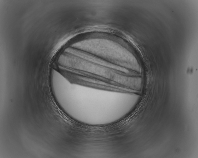 X0000088871312200706291531