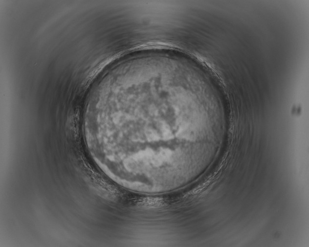 X0000088871313200706291531