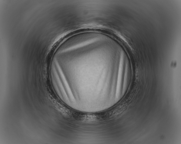 X0000088871315200706291531