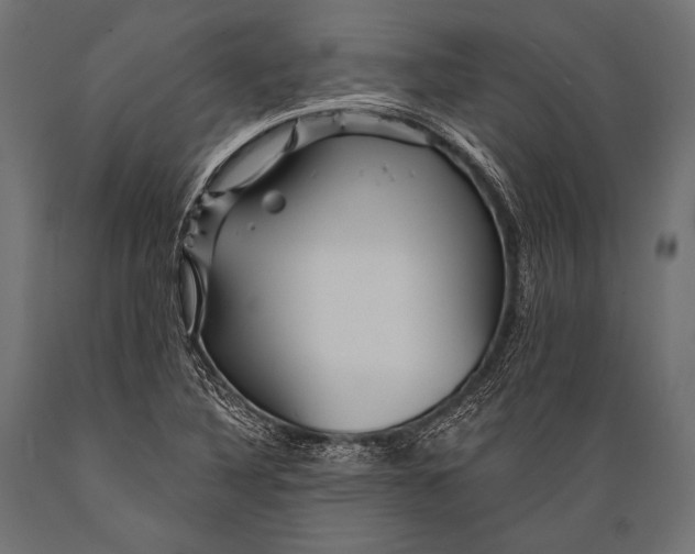 X0000088871316200706291531