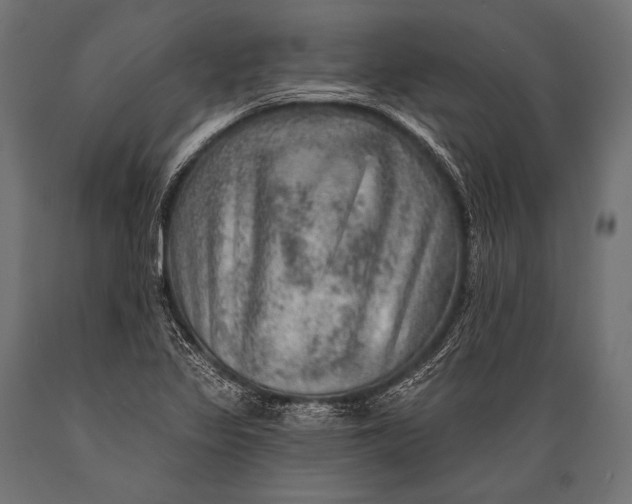 X0000088871317200706291531