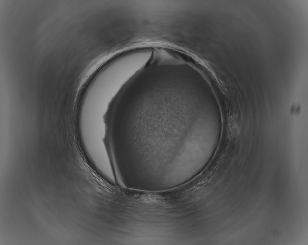 X0000088871319200706291531