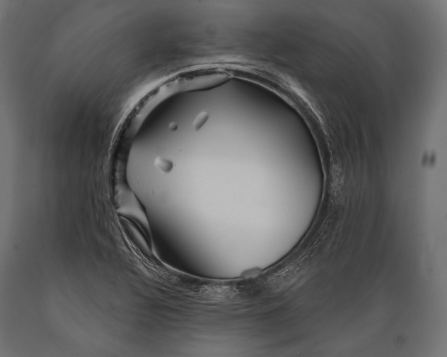 X0000088871320200706291531