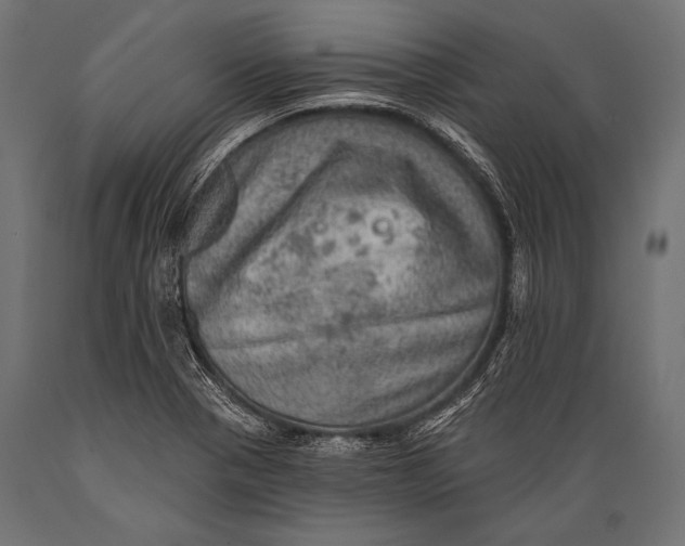 X0000088871321200706291531