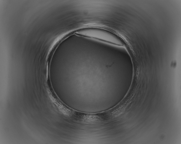 X0000088871323200706291531