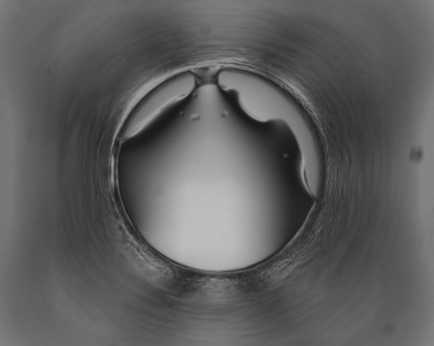 X0000088871324200706291531