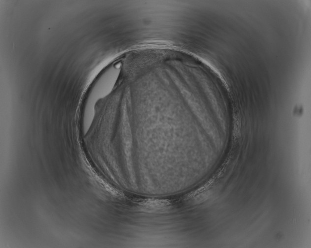 X0000088871325200706291531