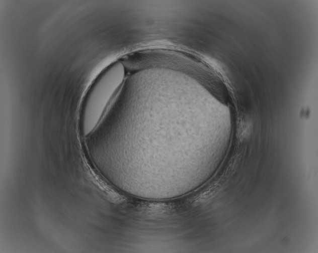 X0000088871326200706291531