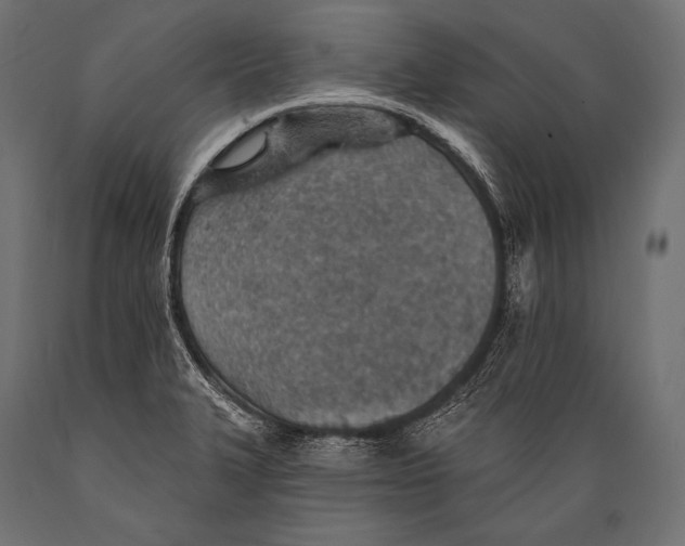 X0000088871327200706291531