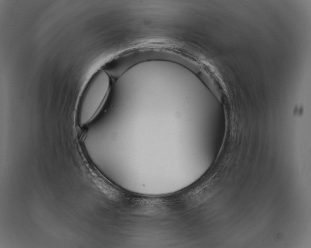 X0000088871328200706291531