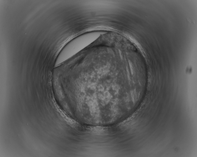 X0000088871329200706291531