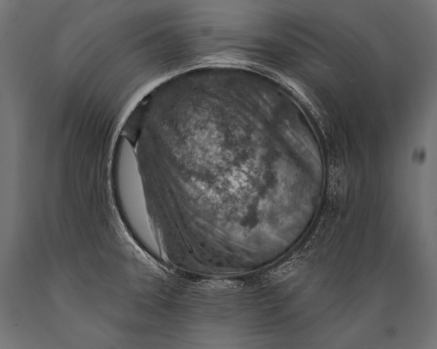 X0000088871331200706291531