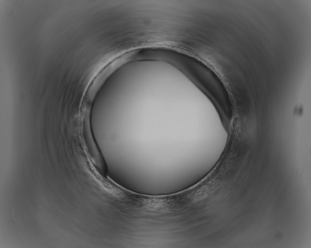 X0000088871332200706291531