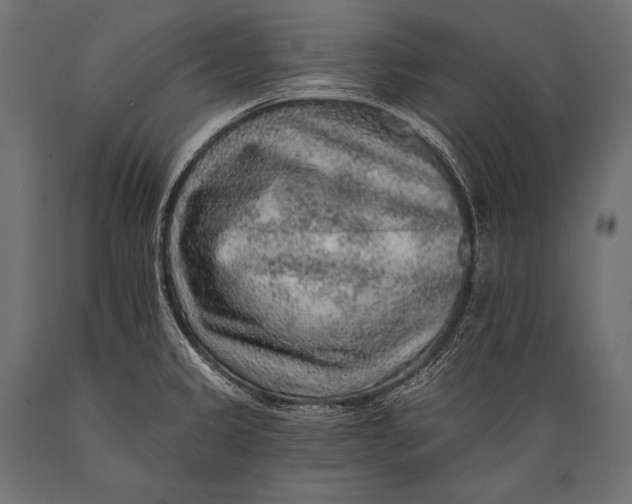 X0000088871333200706291531