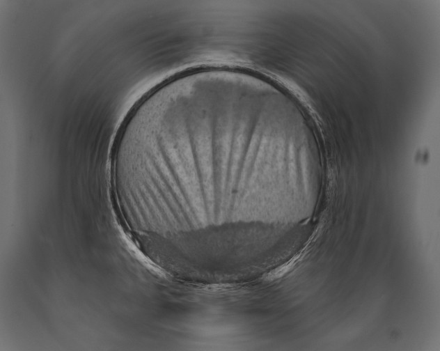X0000088871335200706291531