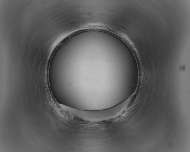 X0000088871336200706291531
