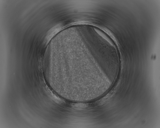 X0000088871337200706291531