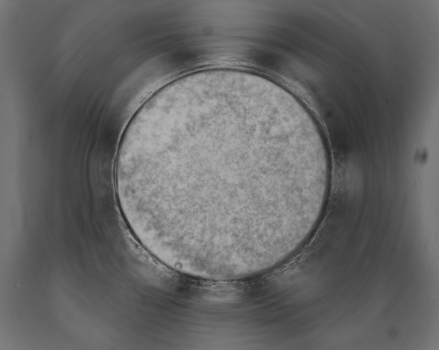 X0000088871338200706291531