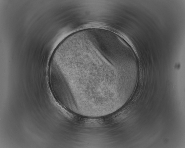X0000088871339200706291531