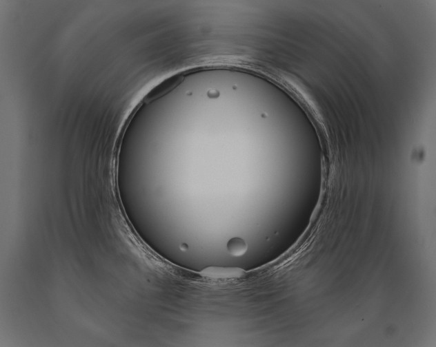 X0000088871340200706291531