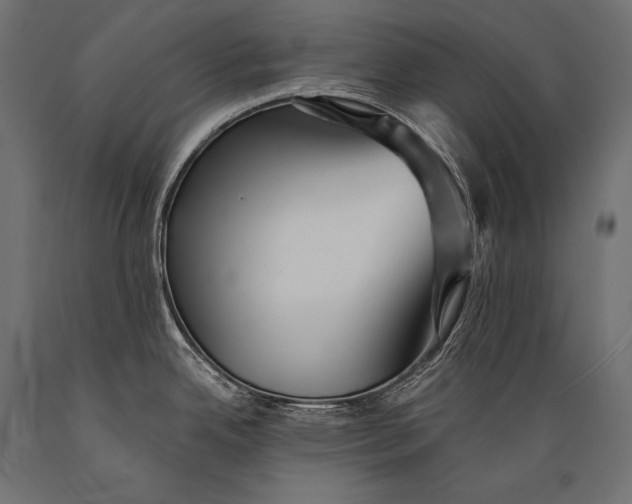 X0000088871342200706291532