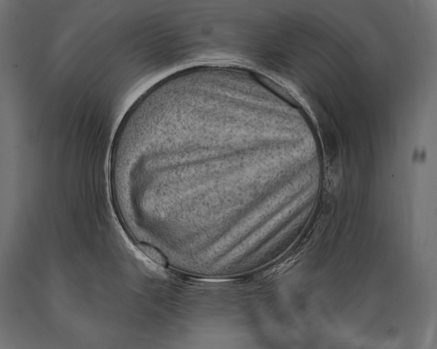 X0000088871343200706291532