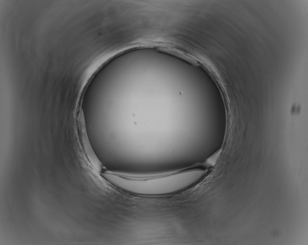 X0000088871344200706291532