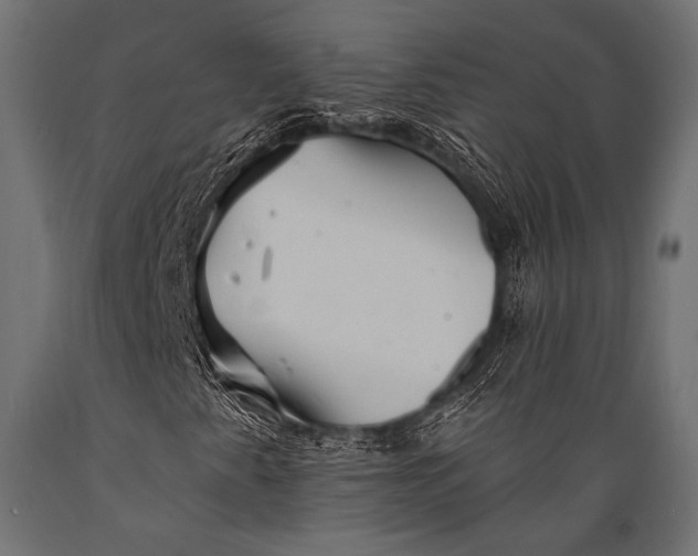 X0000088871345200706291531