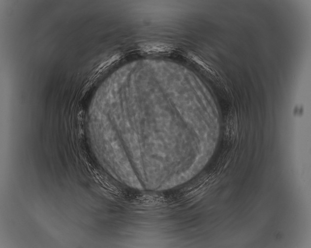 X0000088871346200706291531