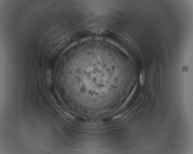X0000088871347200706291531