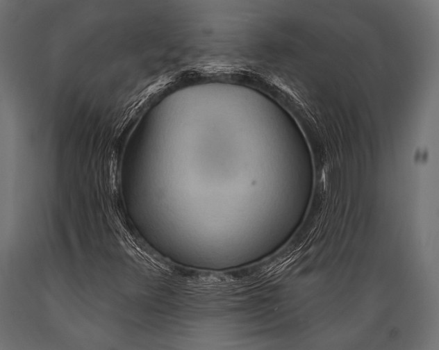 X0000088871348200706291531