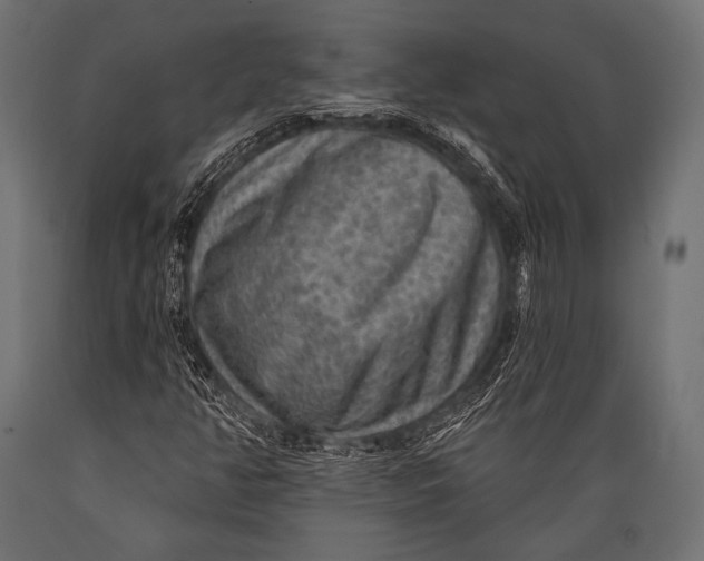 X0000088871350200706291531