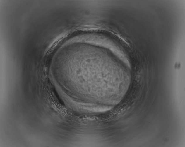 X0000088871351200706291531